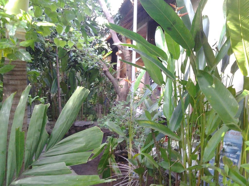 Solaluna Beach Homestay Αμέντ Εξωτερικό φωτογραφία